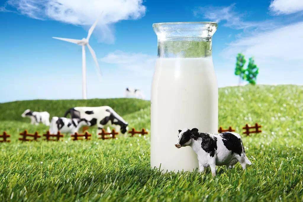 研究发现喝牛奶会增加死亡风险！事实果真如此吗？怎么喝更安全？